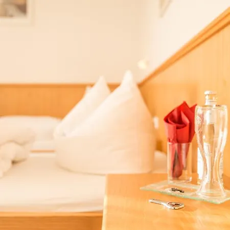 Drei Loewen Hotel Dachau