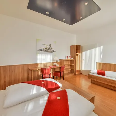 Drei Loewen Hotel 3*
